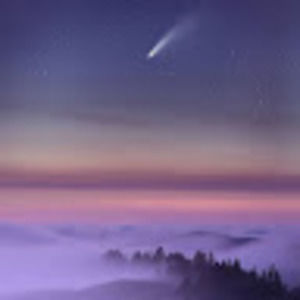 Meet your Posher, Freddy